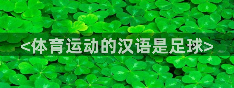 betway西汉姆：<体育运动的汉语是足球>