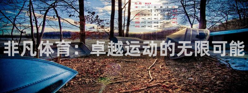 betway西汉姆：非凡体育：卓越运动的无限可能