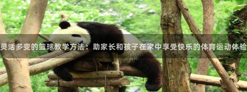 必威betway西汉姆联：灵活多变的篮球教学方法：助家长和孩子在家中享受快乐的体育运动体验