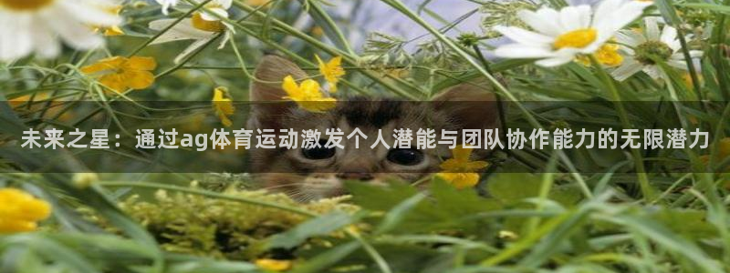 betway西汉姆：未来之星：通过ag体育运动激发个人潜能与团队协作能力的无限潜力