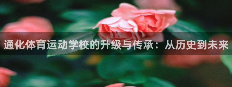 betway西汉姆官网：通化体育运动学校的升级与传承：从历史到未来
