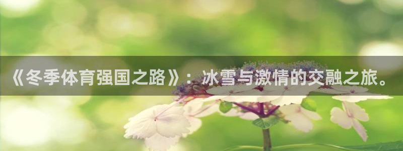 betway西汉姆：《冬季体育强国之路》：冰雪与激情的交融之旅。