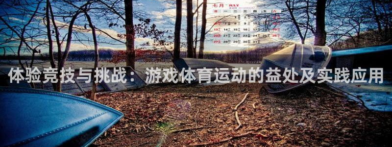 betway西汉姆：体验竞技与挑战：游戏体育运动的益处及实践应用