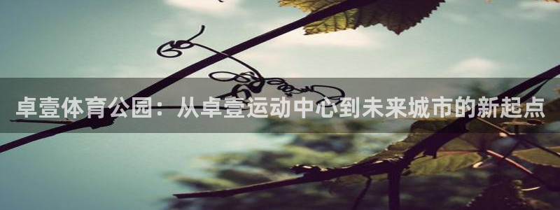 必威betway西汉姆联：卓壹体育公园：从卓壹运动中心到未来城市的新起点