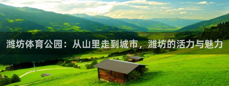 betway西汉姆联：潍坊体育公园：从山里走到城市，潍坊的活力与魅力
