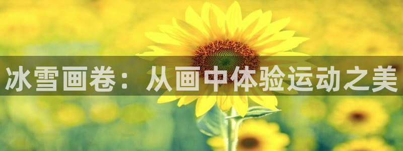 betway西汉姆官网：冰雪画卷：从画中体验运动之美