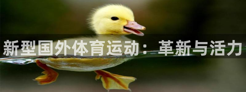 betway西汉姆：新型国外体育运动：革新与活力