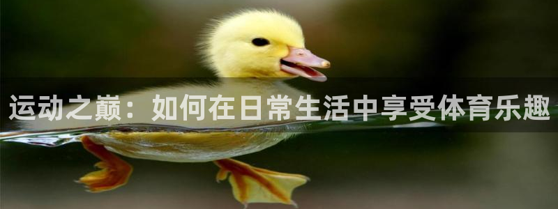 必威betway西汉姆联