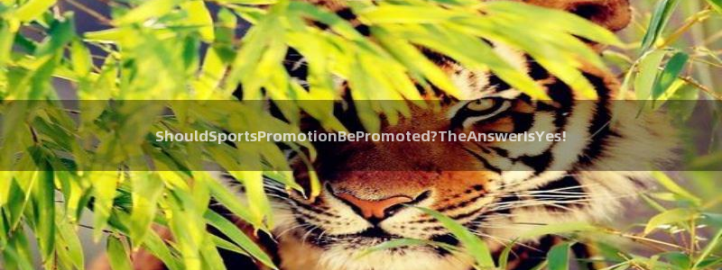 betway西汉姆官网：ShouldSportsPromotionBePromoted?TheAnswerIsYes!